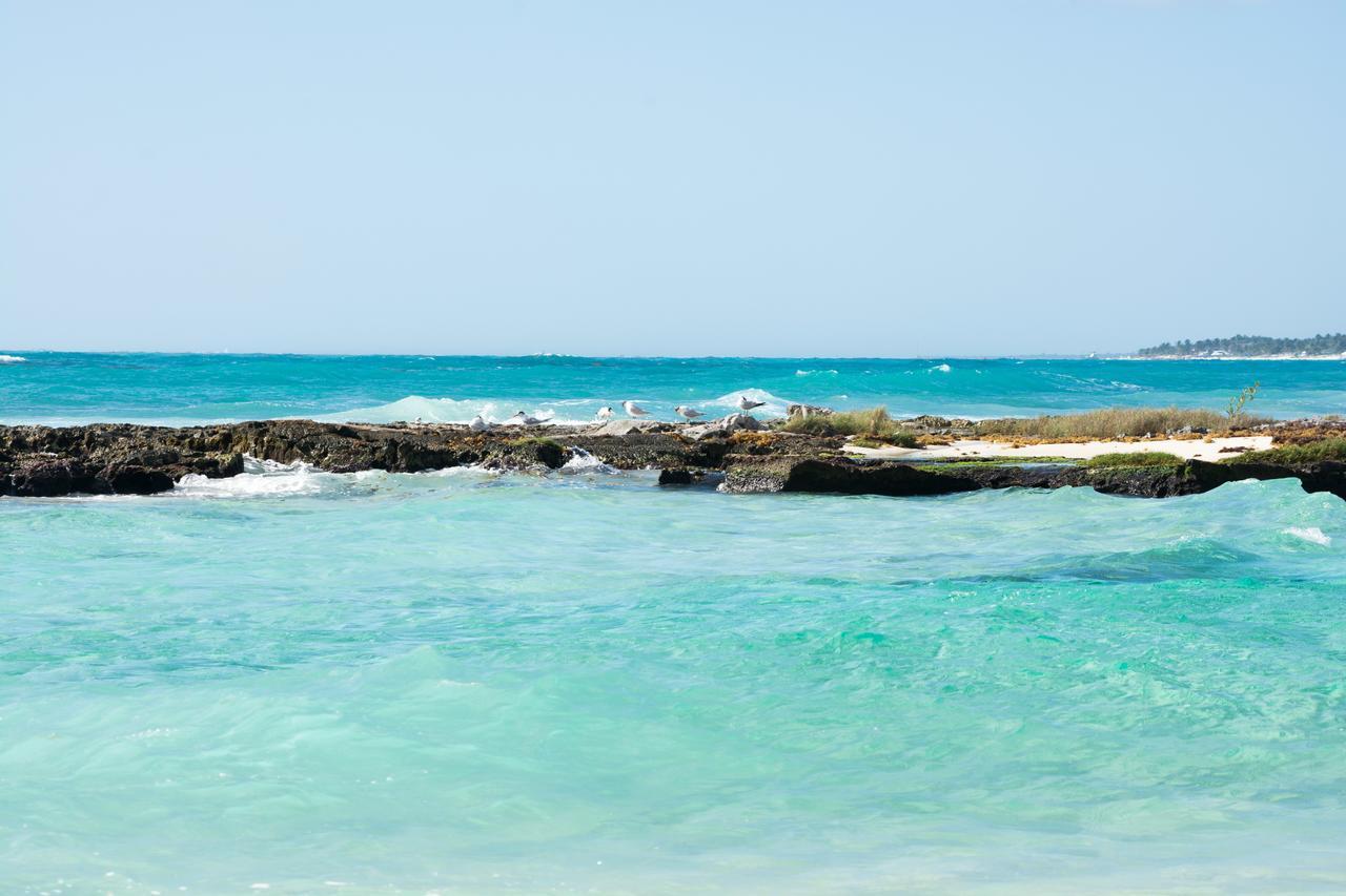 Caleta Tankah Otel Tulum Dış mekan fotoğraf