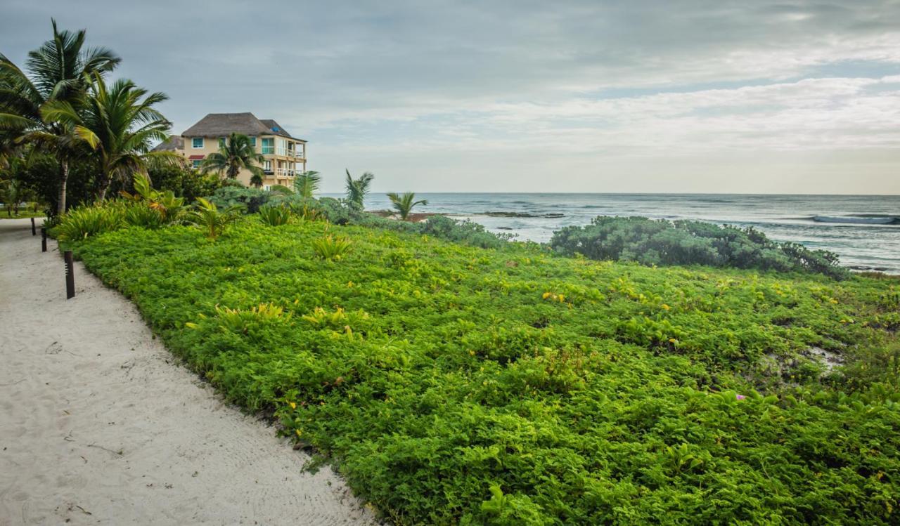 Caleta Tankah Otel Tulum Dış mekan fotoğraf